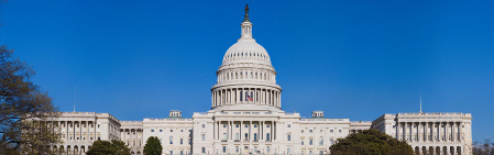U.S. Capitol Building